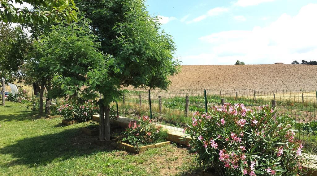 Agriturismo Airone Pitigliano Buitenkant foto